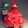 Xinruhe Children's Dress Puff Skirt